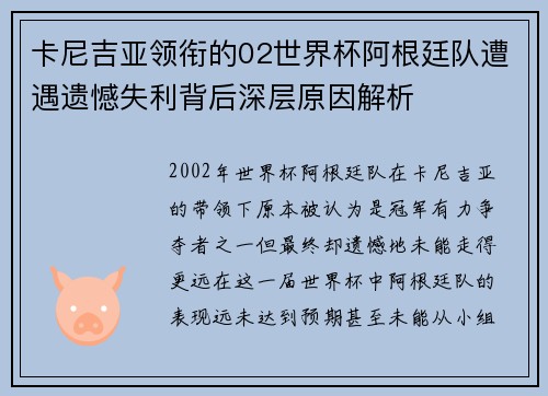卡尼吉亚领衔的02世界杯阿根廷队遭遇遗憾失利背后深层原因解析